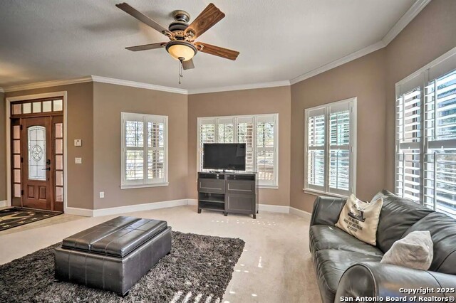 Image 5 of 41 For 852 Crossbow