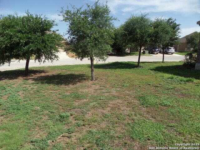 Listing photo id 15 for 6724 Luckey Pond