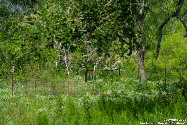 Image 10 of 15 For 000 Brite Lane