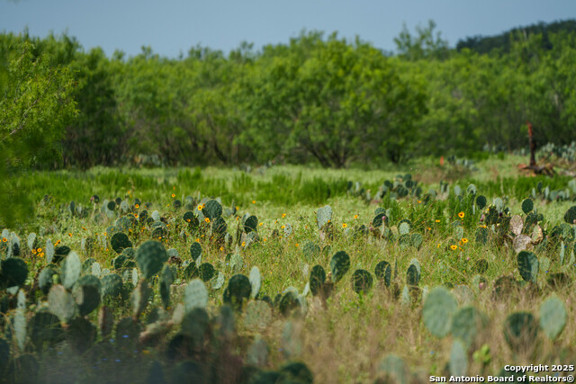 Image 11 of 15 For 000 Brite Lane