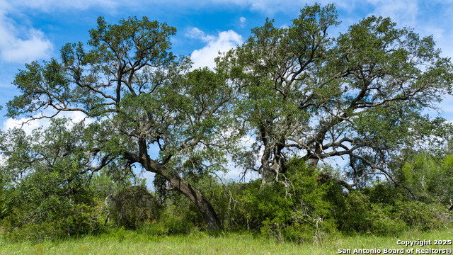 Image 14 of 15 For 000 Brite Lane