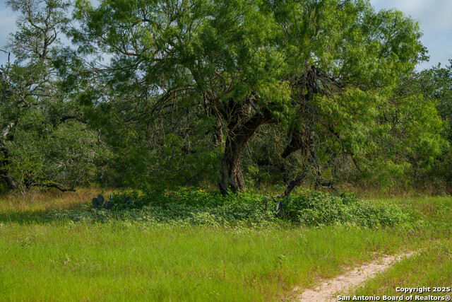 Image 5 of 15 For 000 Brite Lane