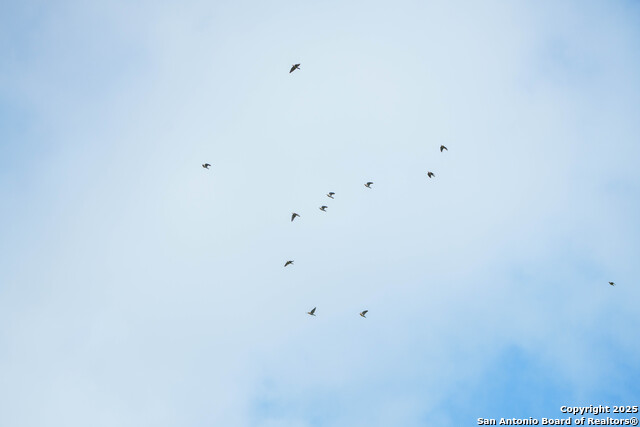 Image 6 of 15 For 000 Brite Lane