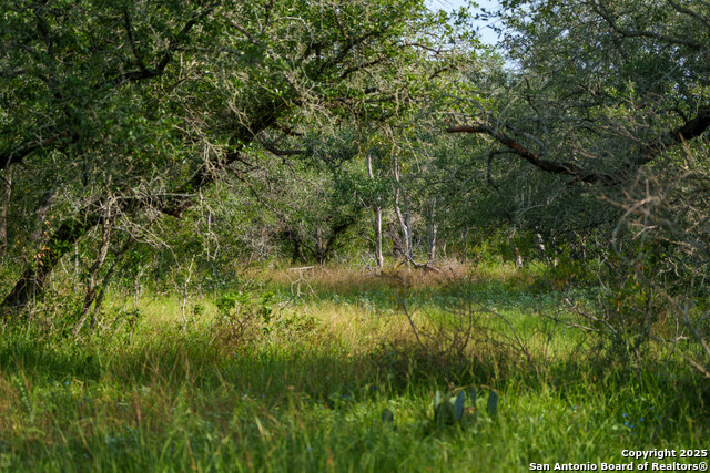 Image 7 of 15 For 000 Brite Lane