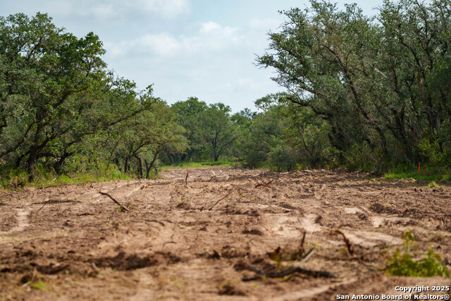 Image 9 of 15 For 000 Brite Lane