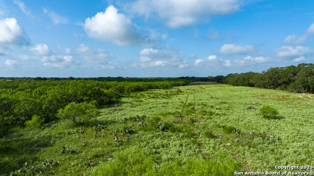 Image 11 of 14 For 000 Brite Lane