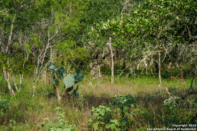 Image 4 of 14 For 000 Brite Lane