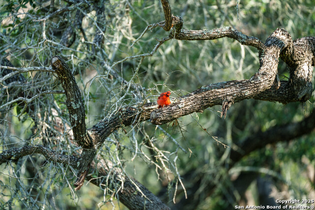 Image 8 of 14 For 000 Brite Lane