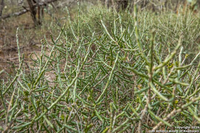 Image 10 of 16 For 8485 Fm 673