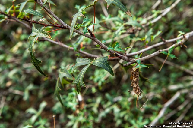 Image 12 of 16 For 8485 Fm 673