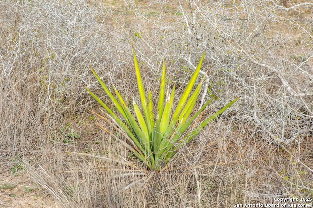 Image 13 of 16 For 8485 Fm 673