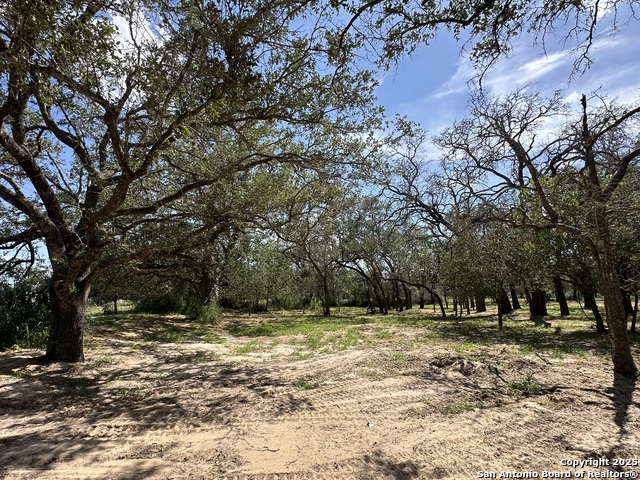 Image 27 of 38 For 5161 County Road 302