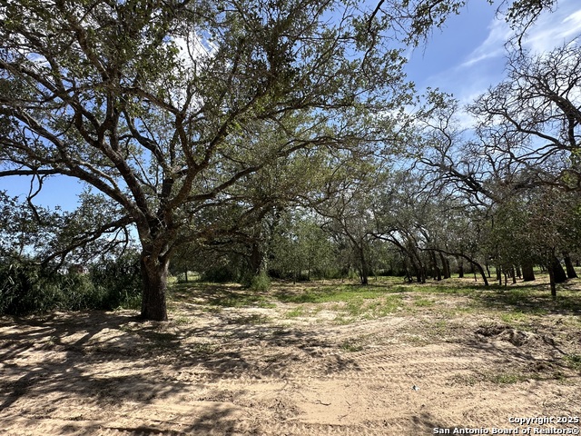 Image 28 of 38 For 5161 County Road 302