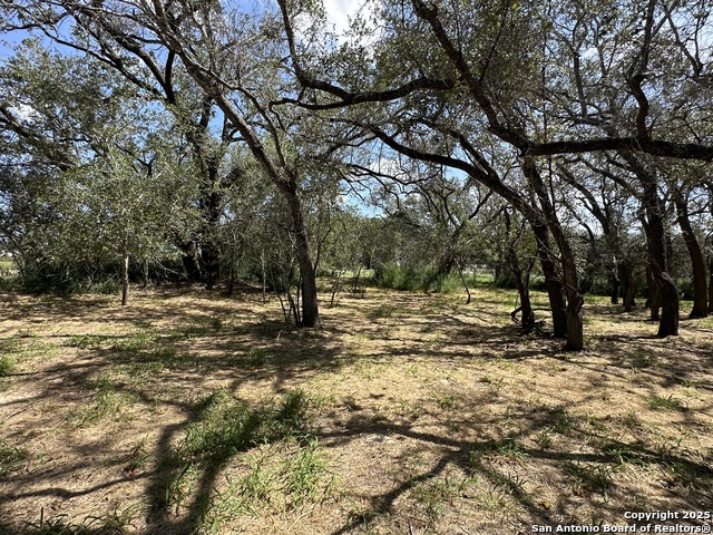 Image 29 of 38 For 5161 County Road 302