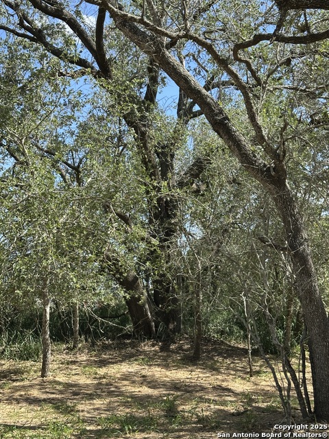 Image 30 of 38 For 5161 County Road 302