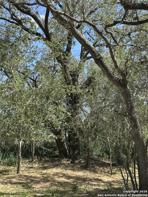 Image 31 of 38 For 5161 County Road 302