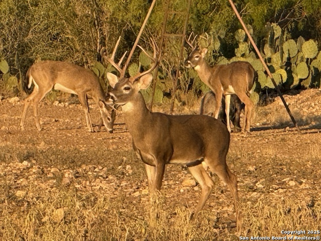 Listing photo id 0 for 5596 Us Highway 90