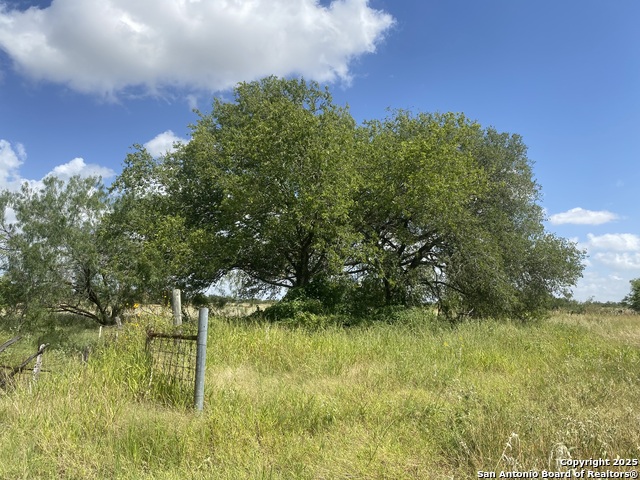 Image 37 of 50 For 1662 Sand Branch