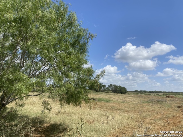 Image 44 of 50 For 1662 Sand Branch