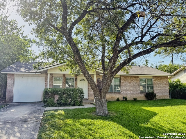 Details for 1541 Cologne, New Braunfels, TX 78130