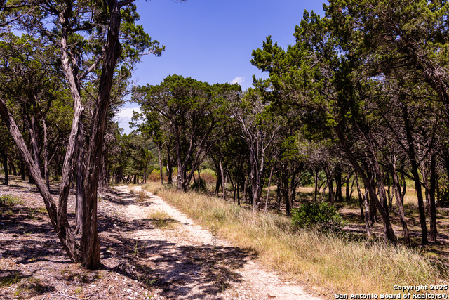 Details for Tbd Pr 177  , Helotes, TX 78023