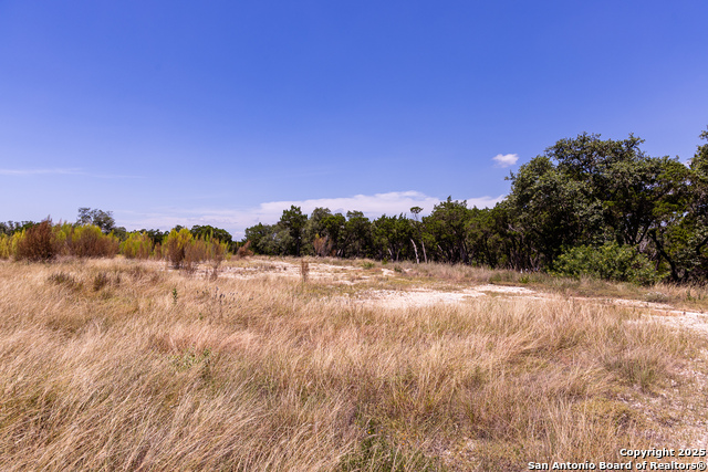 Image 10 of 34 For Tbd Pr 177  