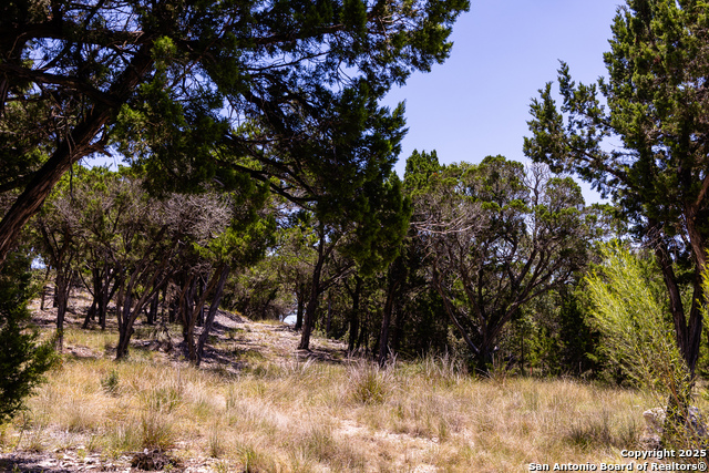 Image 2 of 34 For Tbd Pr 177  