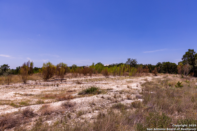 Image 5 of 34 For Tbd Pr 177  