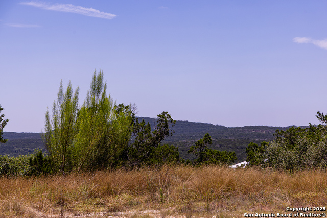 Image 6 of 34 For Tbd Pr 177  