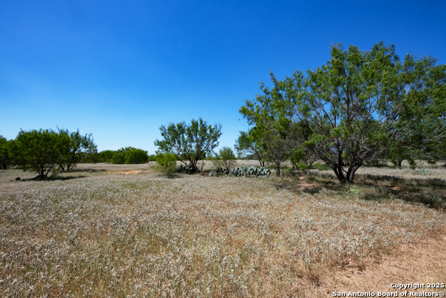 Listing photo id 8 for 19217 Applewhite