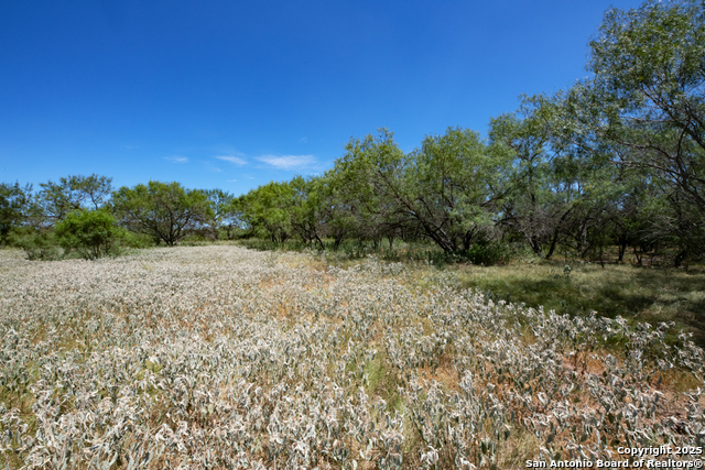 Listing photo id 12 for 19217 Applewhite