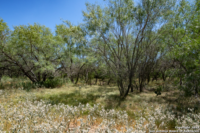Listing photo id 13 for 19217 Applewhite
