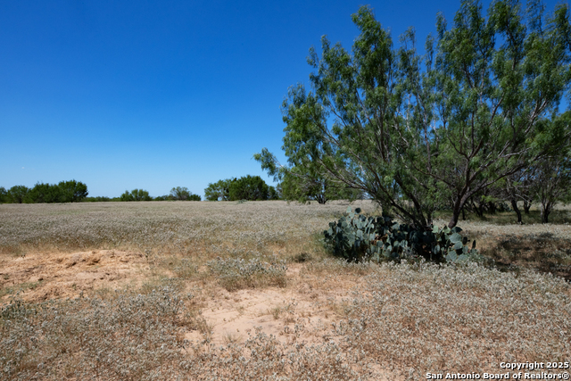 Listing photo id 15 for 19217 Applewhite