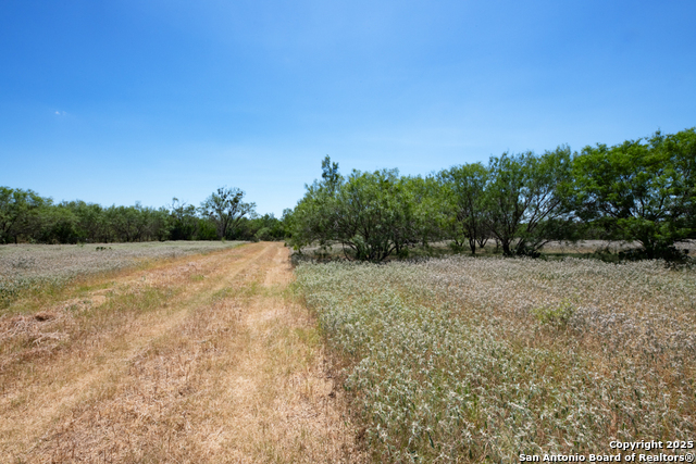 Listing photo id 18 for 19217 Applewhite