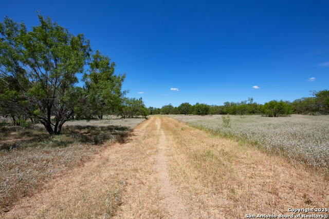 Listing photo id 22 for 19217 Applewhite
