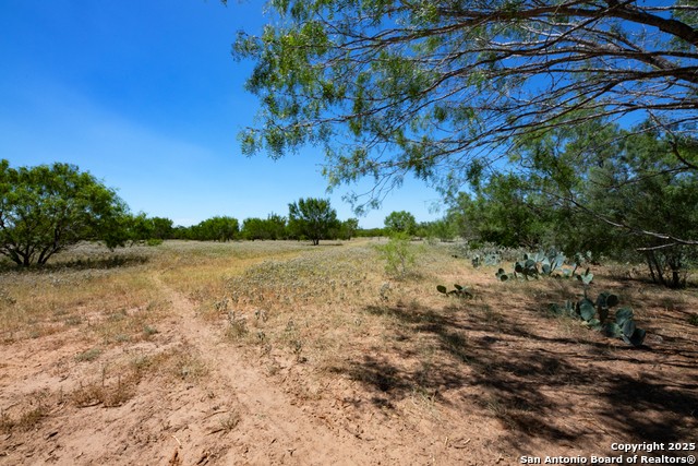 Listing photo id 25 for 19217 Applewhite