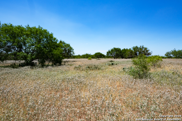 Listing photo id 28 for 19217 Applewhite