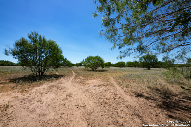 Listing photo id 31 for 19217 Applewhite
