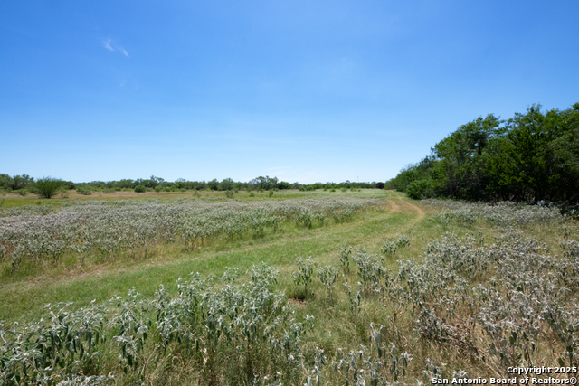 Listing photo id 34 for 19217 Applewhite