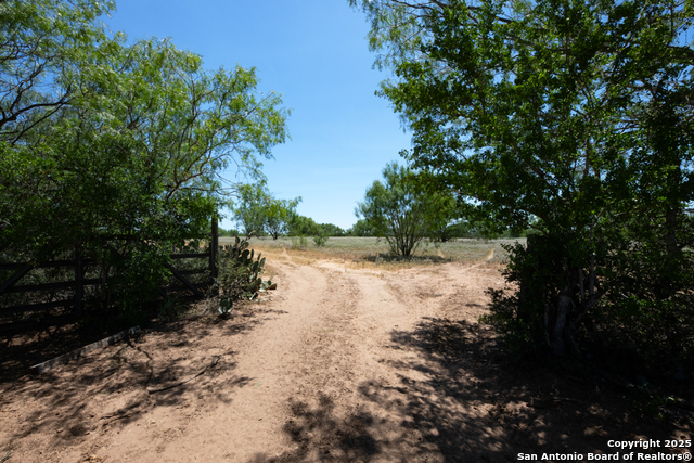 Listing photo id 40 for 19217 Applewhite