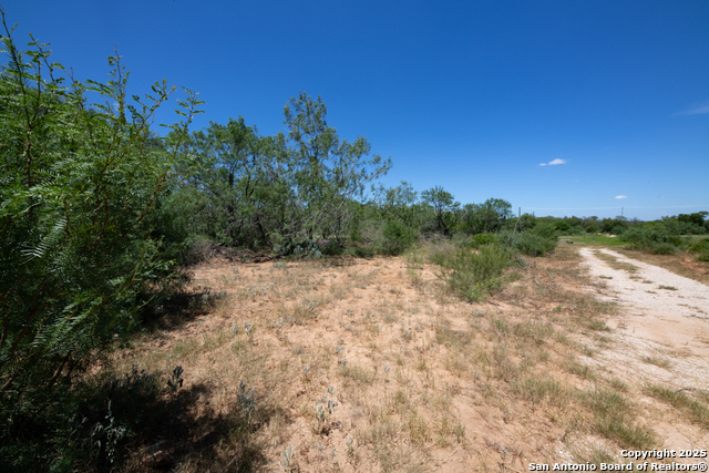 Listing photo id 42 for 19217 Applewhite