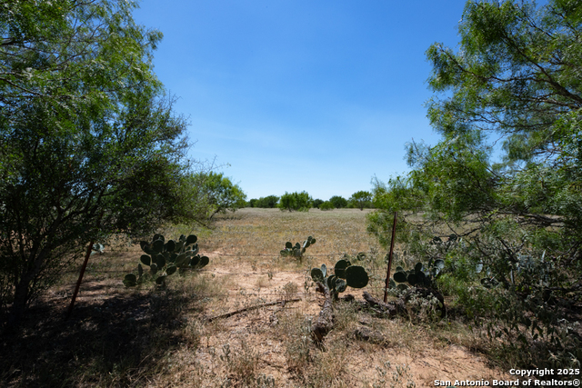 Listing photo id 43 for 19217 Applewhite