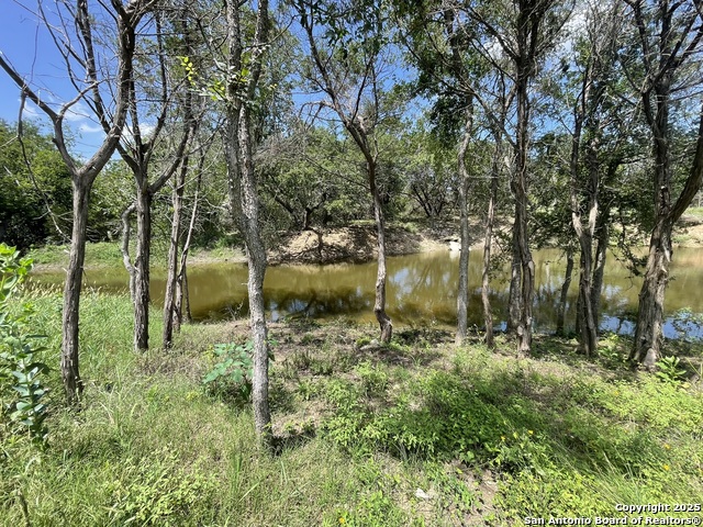 Details for Lot A Ranch Rd 165, Blanco, TX 78606
