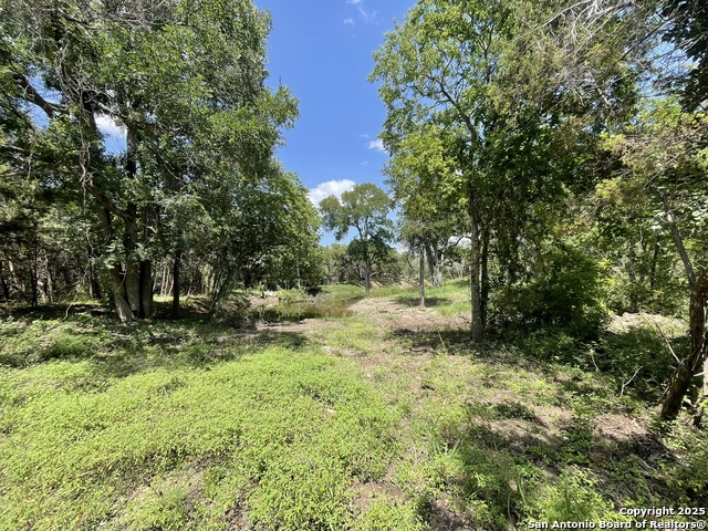 Image 12 of 28 For Lot A Ranch Rd 165