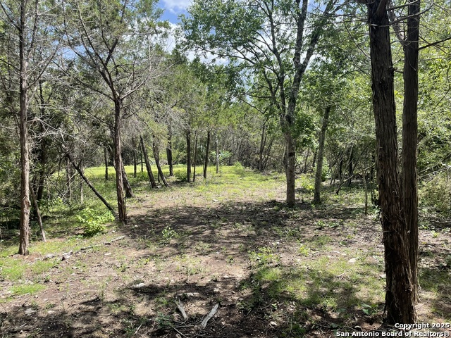 Image 27 of 28 For Lot A Ranch Rd 165