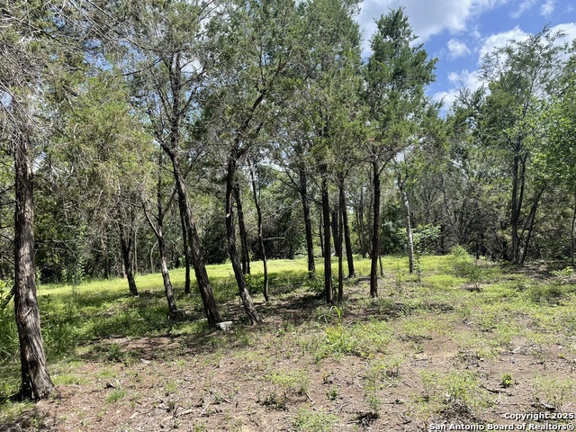 Image 28 of 28 For Lot A Ranch Rd 165