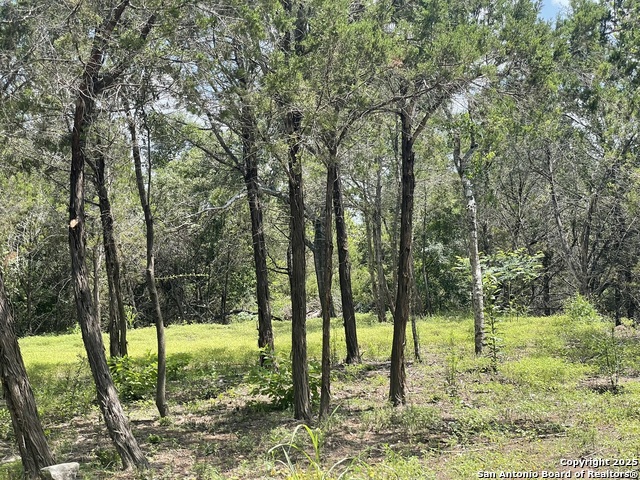 Image 4 of 28 For Lot A Ranch Rd 165