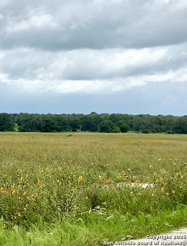 Image 4 of 13 For 221 Colonial Lane