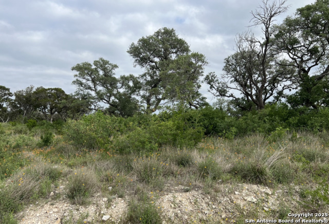 Listing photo id 0 for Tbd Pr 2771  