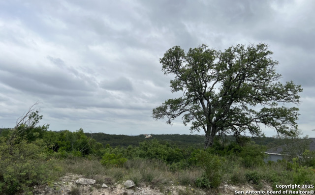 Listing photo id 3 for Tbd Pr 2771  